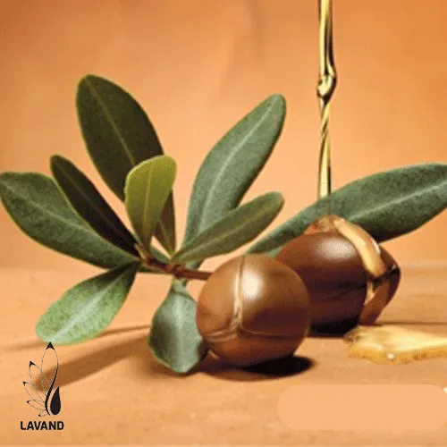 روغن زیتون در حال ریختن روی زیتون